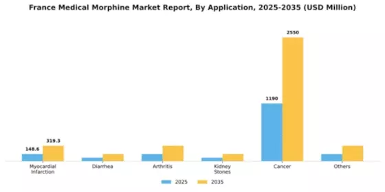 France Medical Morphine Market Segment Image 0