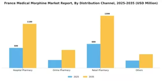 France Medical Morphine Market Segment Image 1