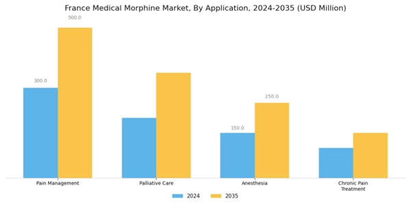 France Medical Morphine Market Segment Image 0