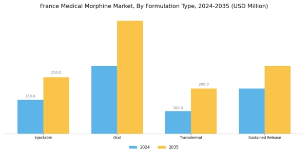 France Medical Morphine Market Segment Image 1