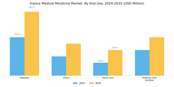 France Medical Morphine Market Segment Image 2
