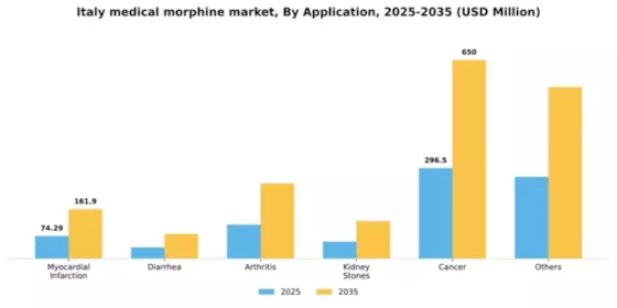 Italy Medical Morphine Market Segment Image 0