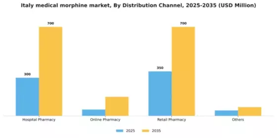 Italy Medical Morphine Market Segment Image 1