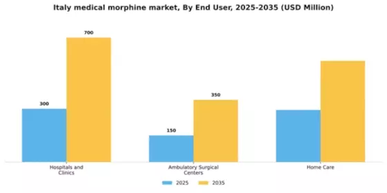 Italy Medical Morphine Market Segment Image 2