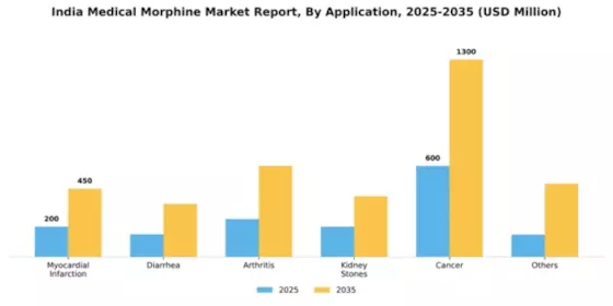India Medical Morphine Market Segment Image 0