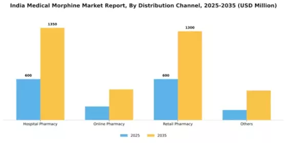 India Medical Morphine Market Segment Image 1