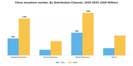 China Medical Morphine Market Segment Image 1