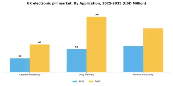 UK Electronic Pill Market Segment Image 0