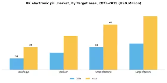 UK Electronic Pill Market Segment Image 3