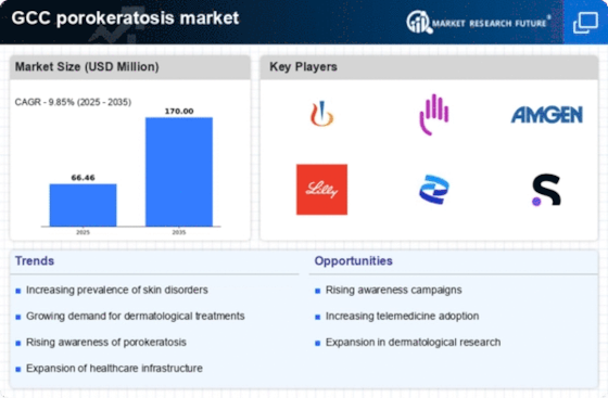 GCC Porokeratosis Market Infographic