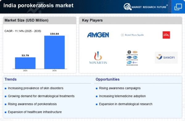 India Porokeratosis Market Infographic