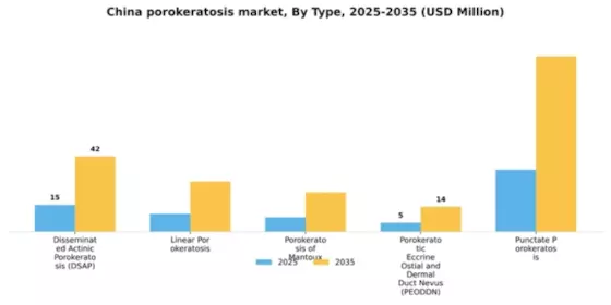 China Porokeratosis Market Segment Image 2