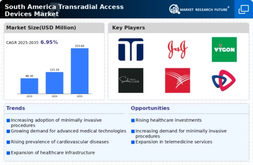 South America Transradial Access Devices Market Infographic