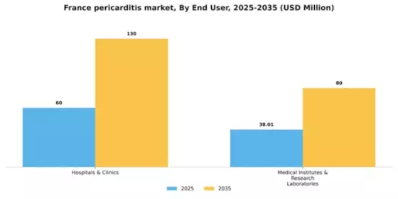 France Pericarditis Market Segment Image 1