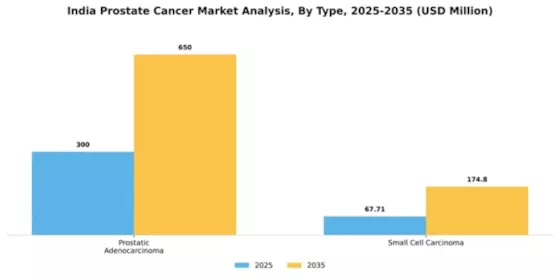 India Prostate Cancer Market Segment Image 2