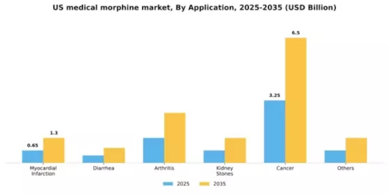 US Medical Morphine Market Segment Image 0