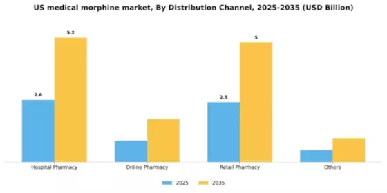 US Medical Morphine Market Segment Image 1