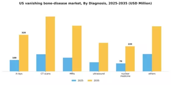 US Vanishing Bone Disease Market Segment Image 0