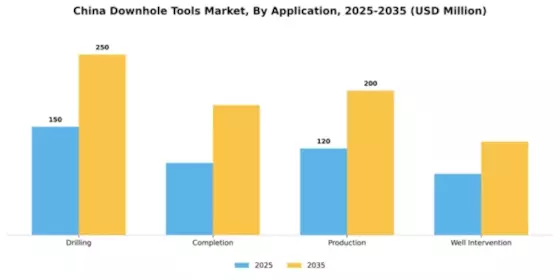 China Downhole Tools Market Segment Image 0