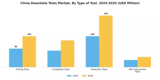 China Downhole Tools Market Segment Image 3