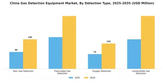 China Gas Detection Equipment Market Segment Image 1