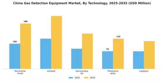 China Gas Detection Equipment Market Segment Image 4