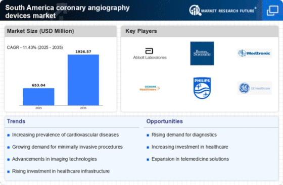 South America Coronary Angiography Devices Market Infographic