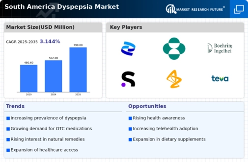 South America Dyspepsia Market Infographic