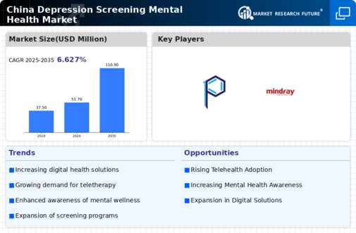 China Depression Screening Mental Health Market Infographic