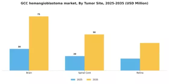 GCC Hemangioblastoma Market Segment Image 5