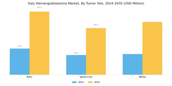 Italy Hemangioblastoma Market Segment Image 0