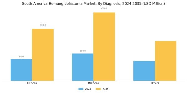 South America Hemangioblastoma Market Segment Image 1