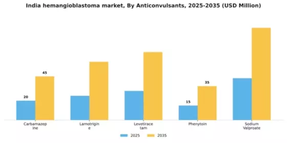 India Hemangioblastoma Market Segment Image 0