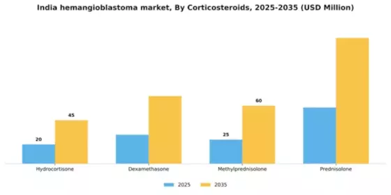 India Hemangioblastoma Market Segment Image 1