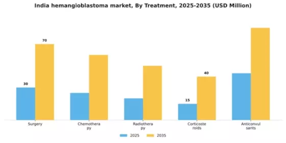 India Hemangioblastoma Market Segment Image 4