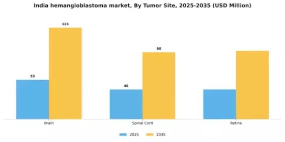 India Hemangioblastoma Market Segment Image 5