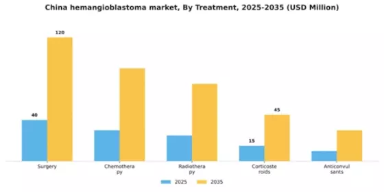 China Hemangioblastoma Market Segment Image 4