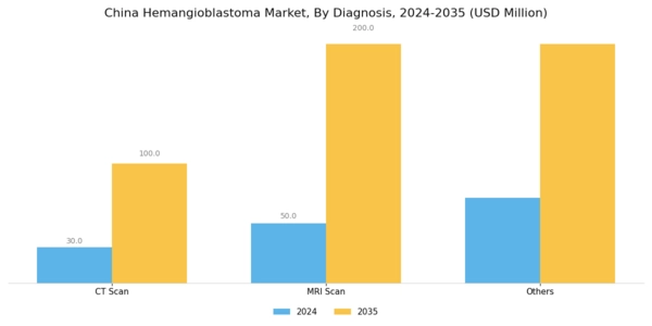 China Hemangioblastoma Market Segment Image 1