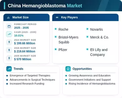 China Hemangioblastoma Market Infographic