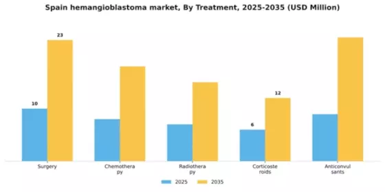 Spain Hemangioblastoma Market Segment Image 4