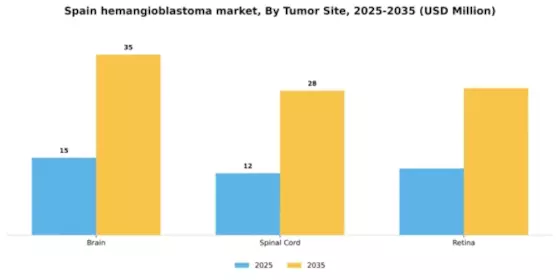 Spain Hemangioblastoma Market Segment Image 5