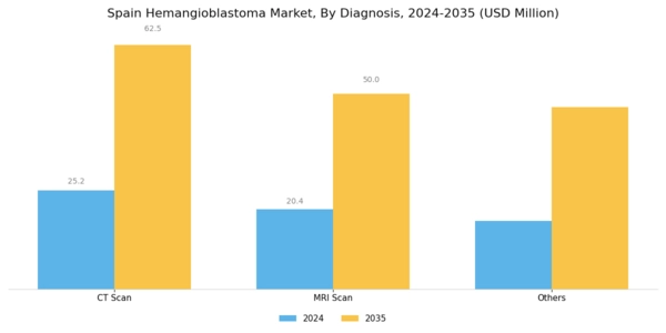 Spain Hemangioblastoma Market Segment Image 1