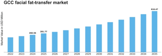 GCC Facial Fat Transfer Market Size