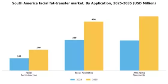South America Facial Fat Transfer Market Segment Image 0