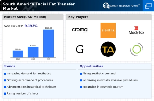 South America Facial Fat Transfer Market Infographic