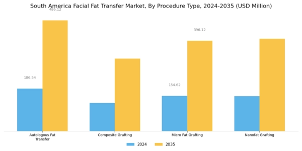 South America Facial Fat Transfer Market Segment Image 0