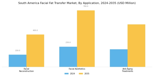 South America Facial Fat Transfer Market Segment Image 2
