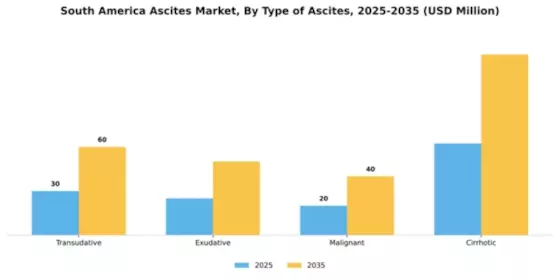 South America Ascites Market Segment Image 3
