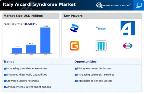 Italy Aicardi Syndrome Market Infographic