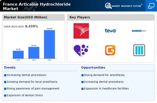 France Articaine Hydrochloride Market Infographic